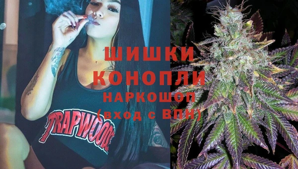 гидра Корсаков