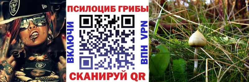даркнет формула  Избербаш  Галлюциногенные грибы GOLDEN TEACHER 