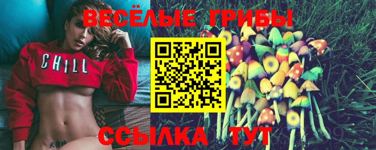 Галлюциногенные грибы мицелий  Галлюциногенные грибы мухоморы  Избербаш  закладки  Вход с VPN 